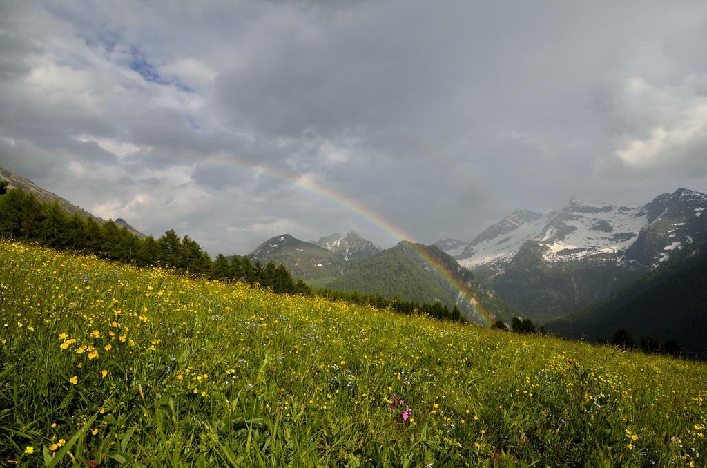 Le Coin Des Melezes - Nature & Trek - Camere In Baita Di Montagna Brusson Exterior photo