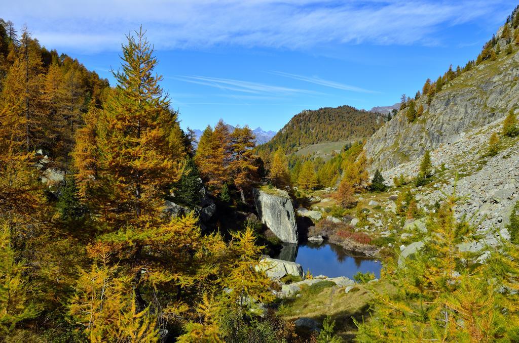 Le Coin Des Melezes - Nature & Trek - Camere In Baita Di Montagna Brusson Exterior photo