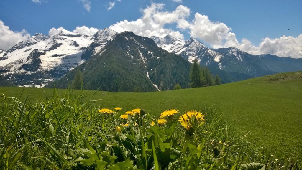 Le Coin Des Melezes - Nature & Trek - Camere In Baita Di Montagna Brusson Exterior photo
